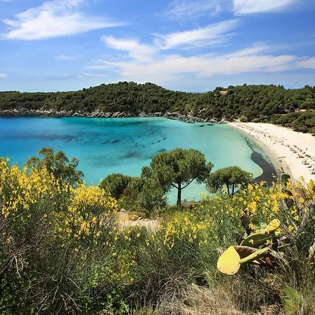 Apartmán Marea - La Tua Oasi Sul Mare By Helloelba *